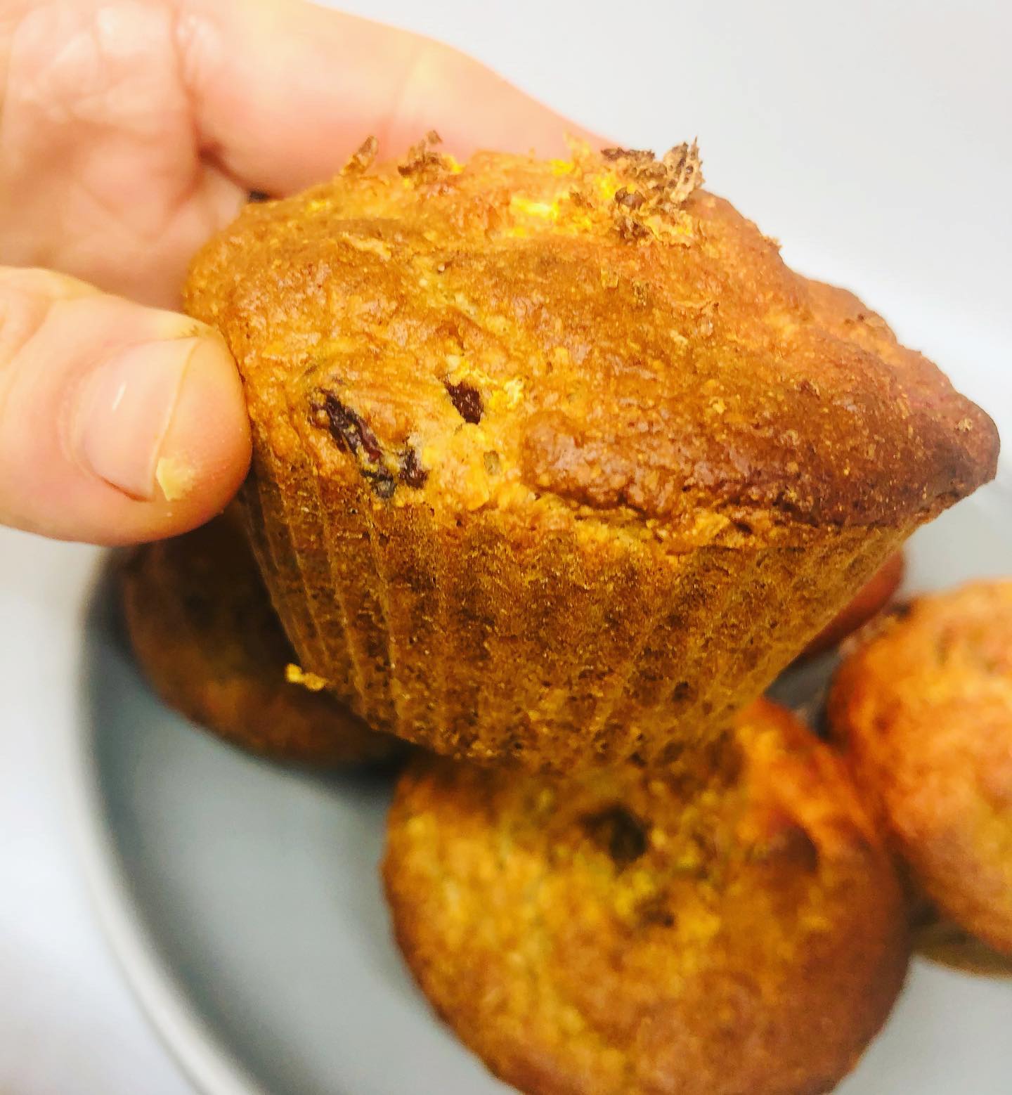 Easy Healthy Vegan Cranberry Lemon Muffins