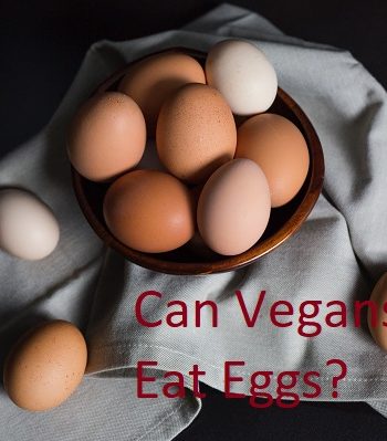 Are Eggs Considered Vegan: Can Vegans Eat Eggs