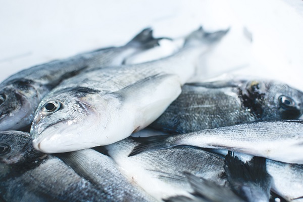 Can Vegans Eat Fish? Everything You Need To Know
