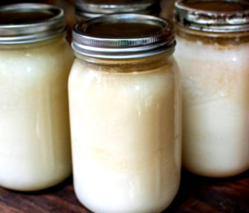 Everything You Need To Know On Is Lard Vegan