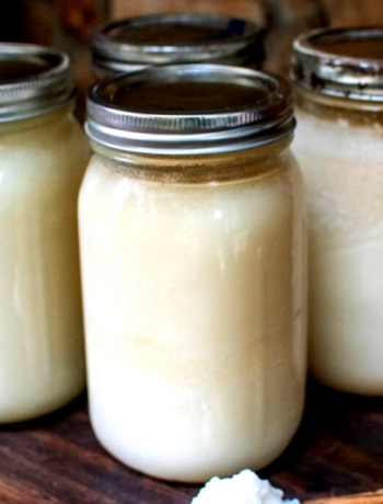 Everything You Need To Know On Is Lard Vegan