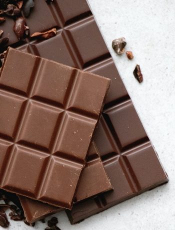 A Guide On What Animals Can Eat Chocolate