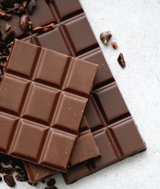 A Guide On What Animals Can Eat Chocolate
