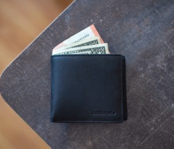 Vegan Leather Wallets Reviewed By a Vegan