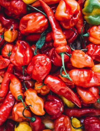 How To Stop Burning Poop After Eating Spicy Food