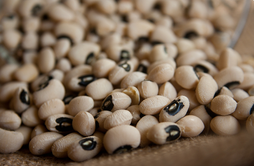 guar beans