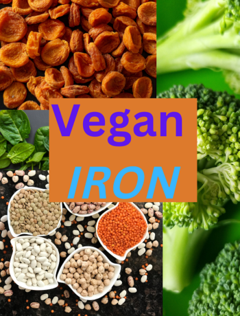 vegan Iron Supplements