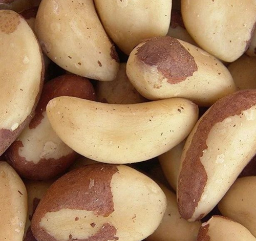 brasil nuts