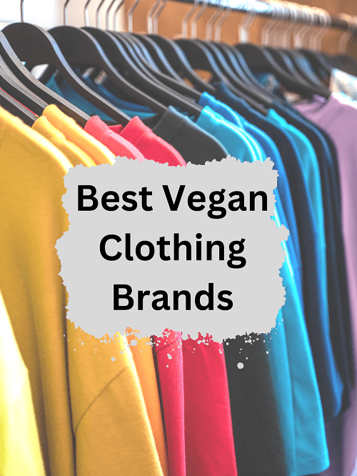 Best Vegan Clothing Brands