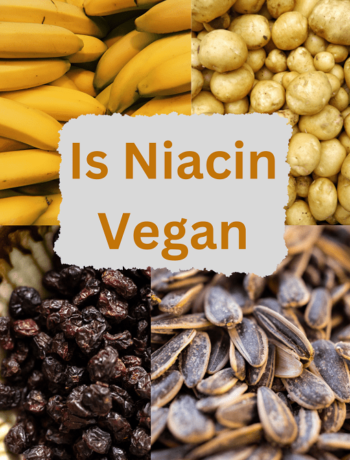 Is Niacin Vegan