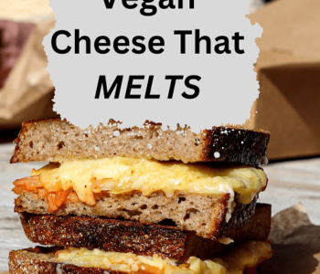 Best Vegan Cheese For Melting