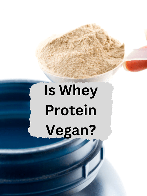 Is Whey Protein Vegan