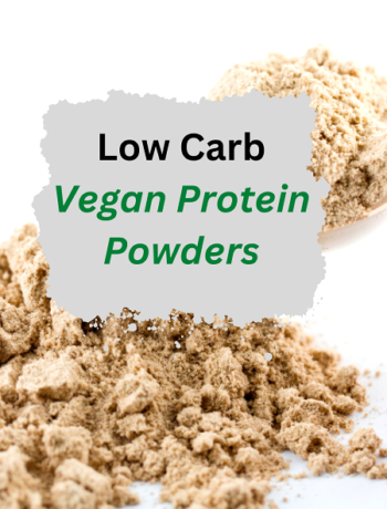 Best Low Carb Vegan Protein Powders