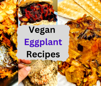 Vegan Eggplant Recipes